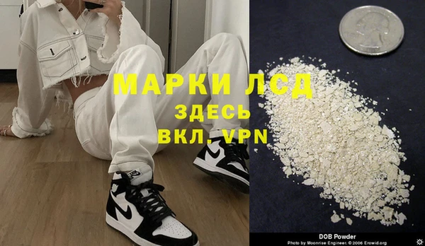 стаф Осинники